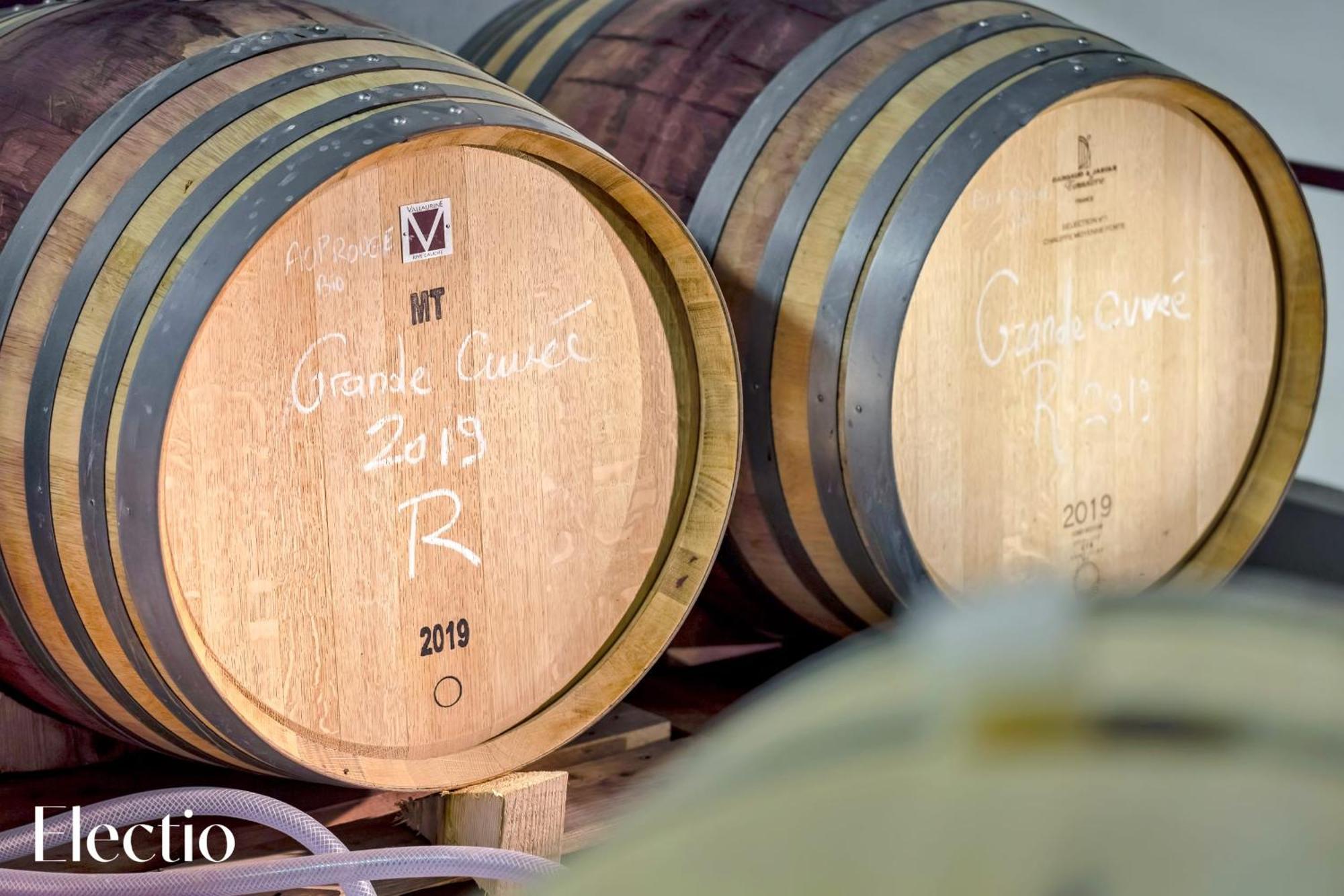 Le Puy-Sainte-Réparade Bastide Domaine Tour Campanets 아파트 호텔 외부 사진