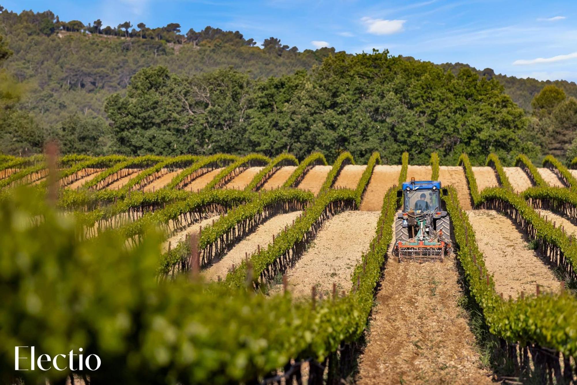 Le Puy-Sainte-Réparade Bastide Domaine Tour Campanets 아파트 호텔 외부 사진