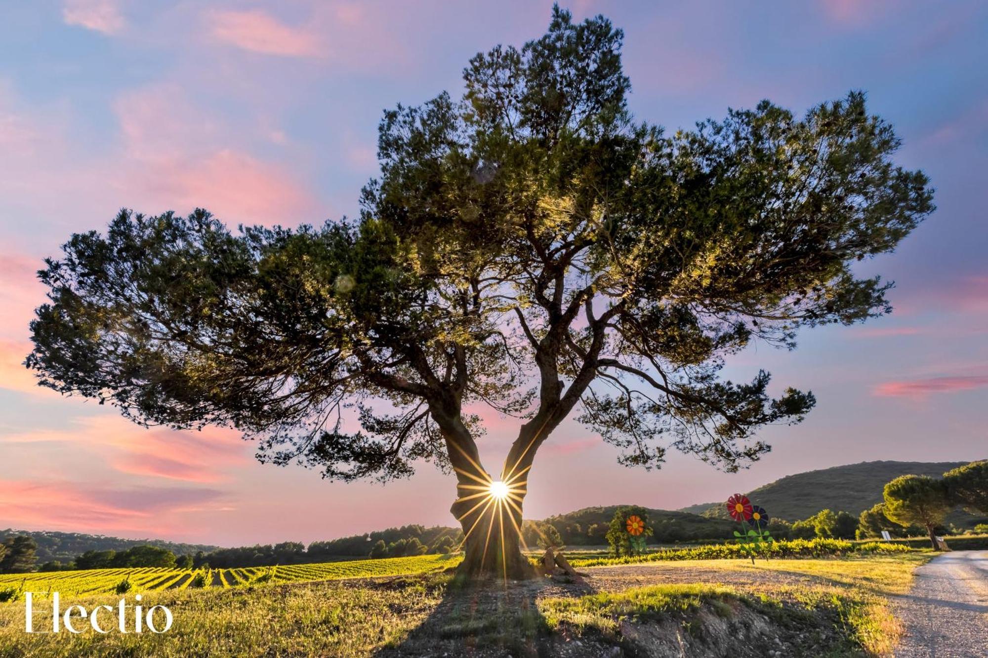 Le Puy-Sainte-Réparade Bastide Domaine Tour Campanets 아파트 호텔 외부 사진